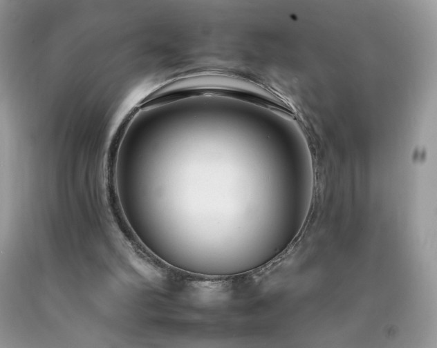 X0000092260102200709141217
