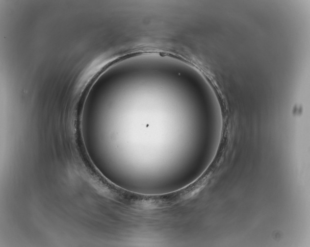 X0000092260103200709141217