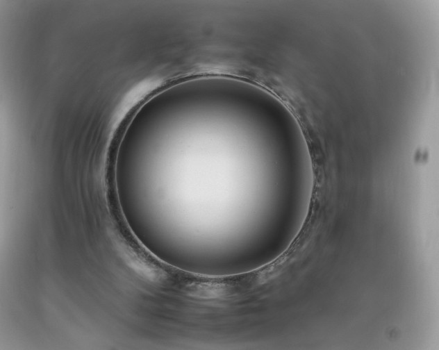 X0000092260104200709141217