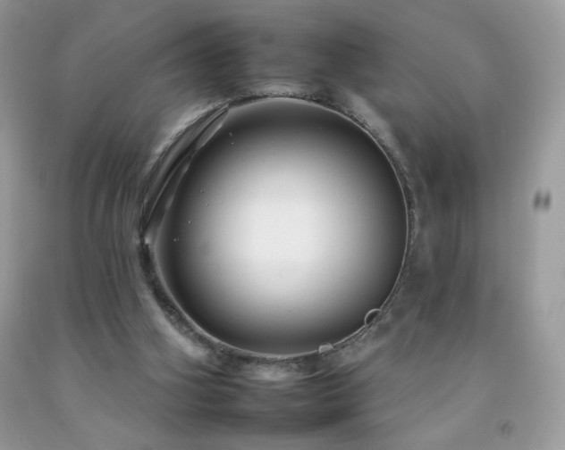X0000092260106200709141217