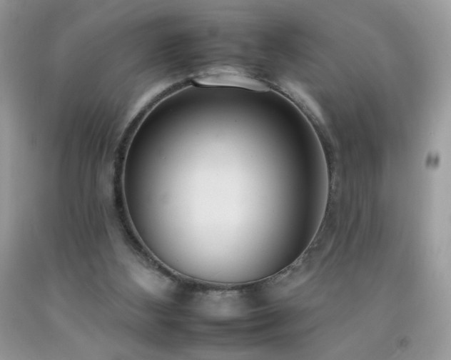 X0000092260108200709141217
