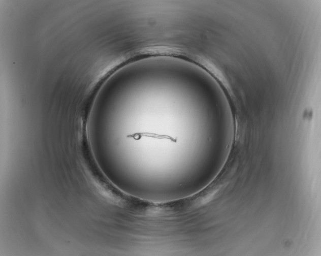 X0000092260109200709141217