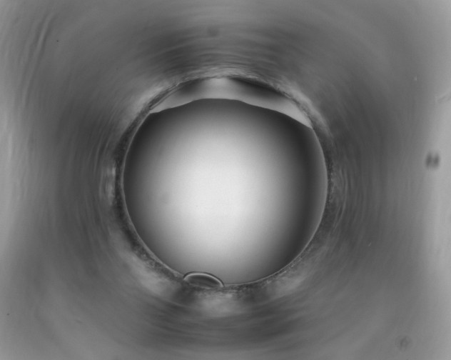 X0000092260110200709141217