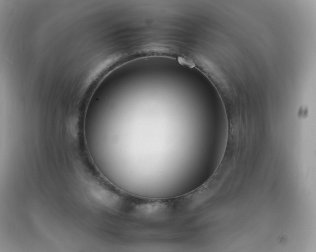 X0000092260112200709141217