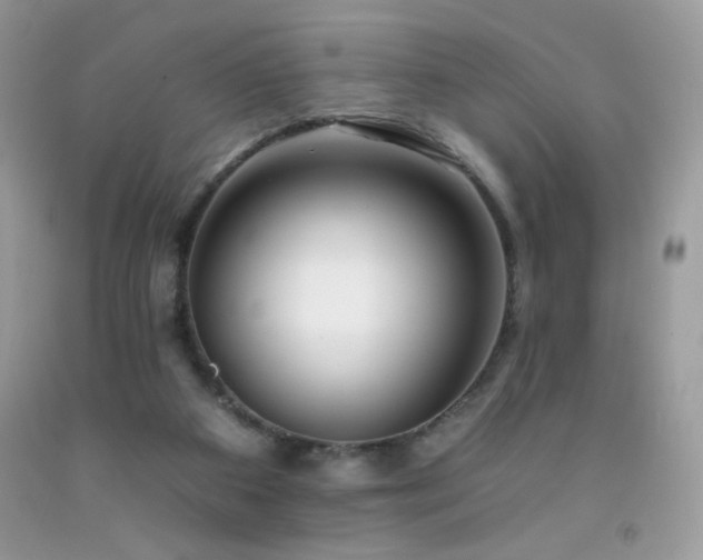 X0000092260113200709141217