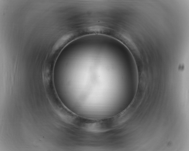 X0000092260116200709141217