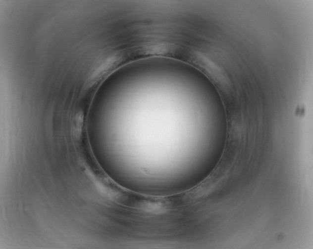 X0000092260118200709141217
