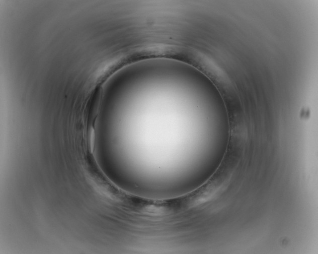 X0000092260119200709141217