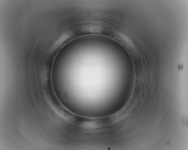 X0000092260120200709141217
