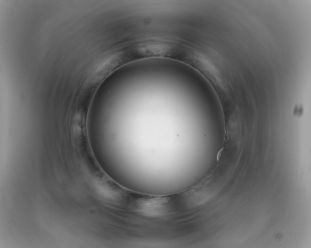 X0000092260122200709141217