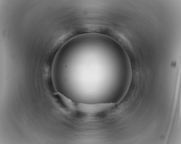 X0000092260123200709141217