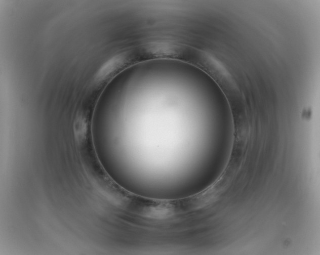 X0000092260124200709141217