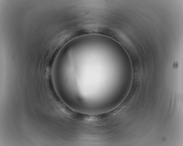 X0000092260125200709141217