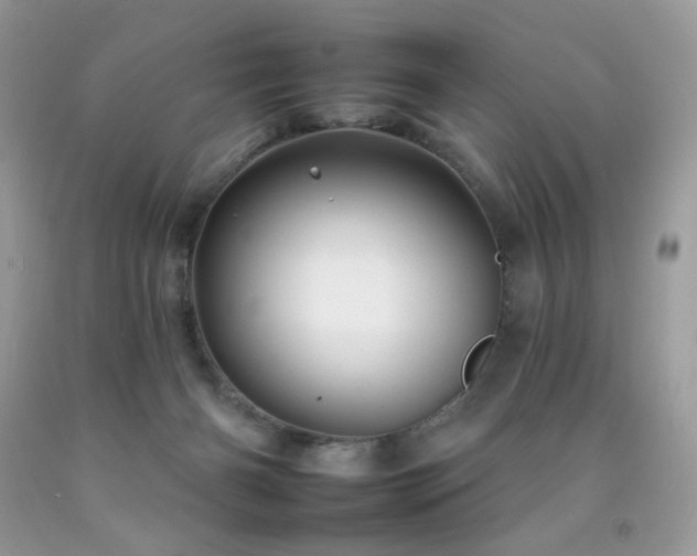X0000092260126200709141217