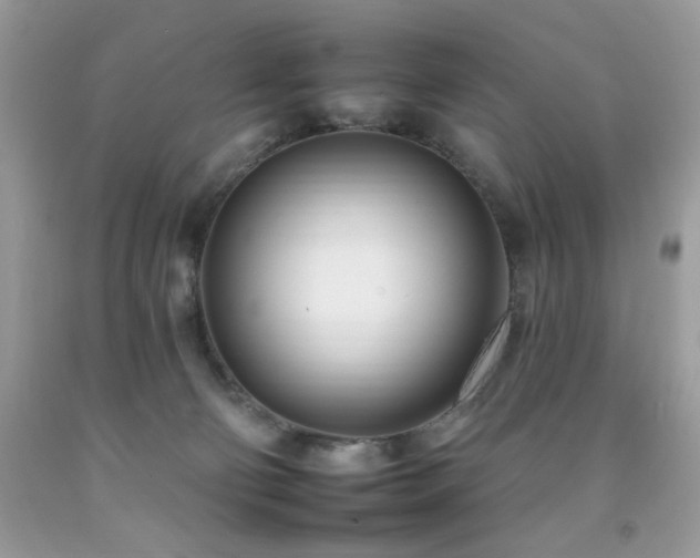 X0000092260130200709141217