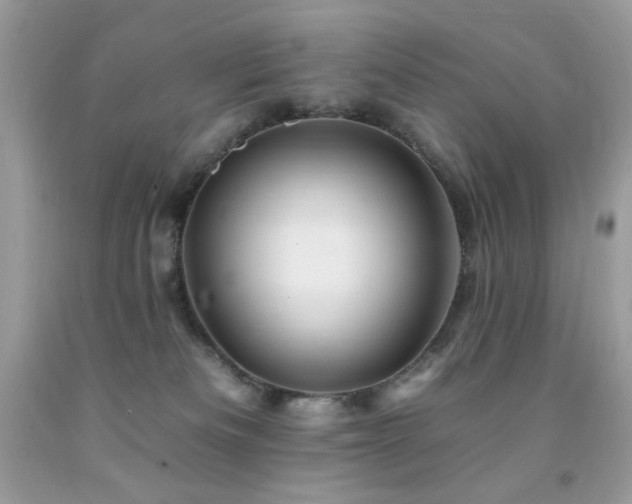 X0000092260133200709141217