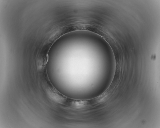 X0000092260134200709141217