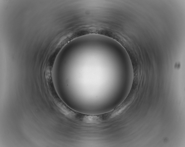 X0000092260137200709141217