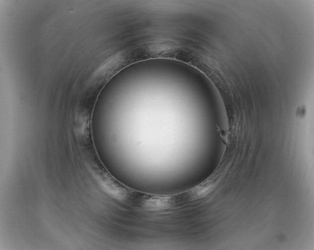 X0000092260138200709141217
