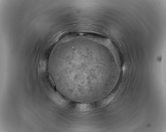 X0000092260139200709141217