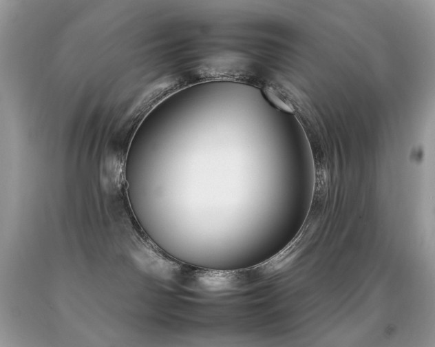 X0000092260142200709141217