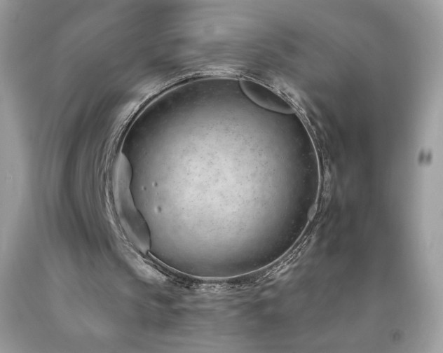 X0000092260145200709141216