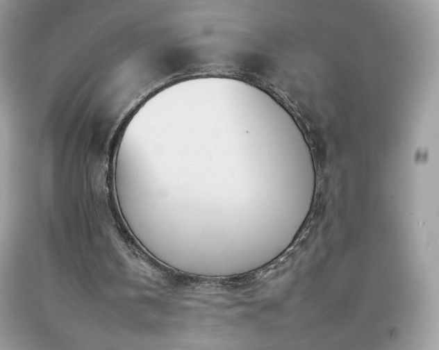 X0000092260146200709141216