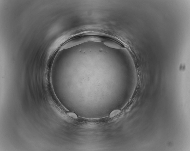 X0000092260149200709141216