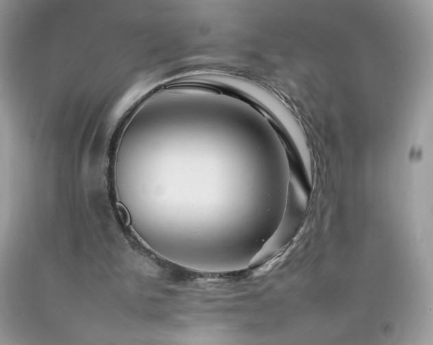 X0000092260150200709141216