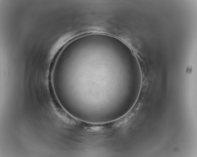 X0000092260151200709141216