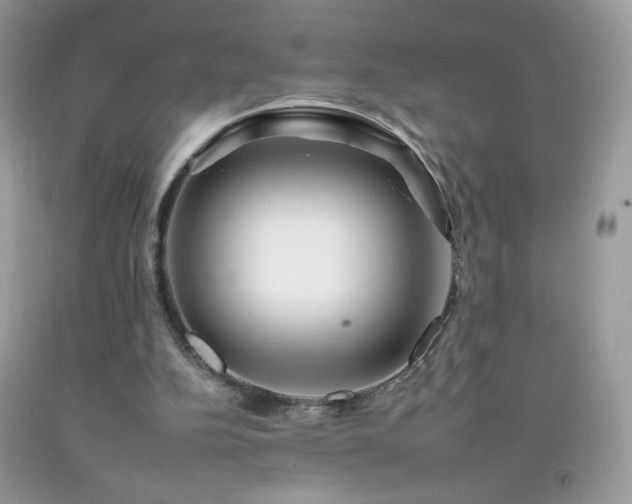 X0000092260152200709141216
