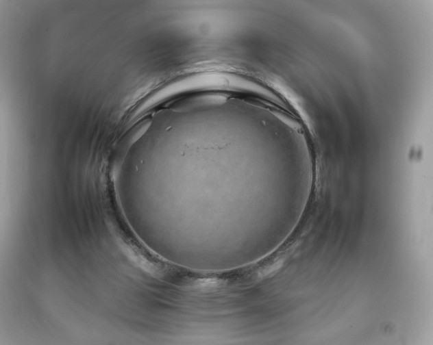 X0000092260153200709141216