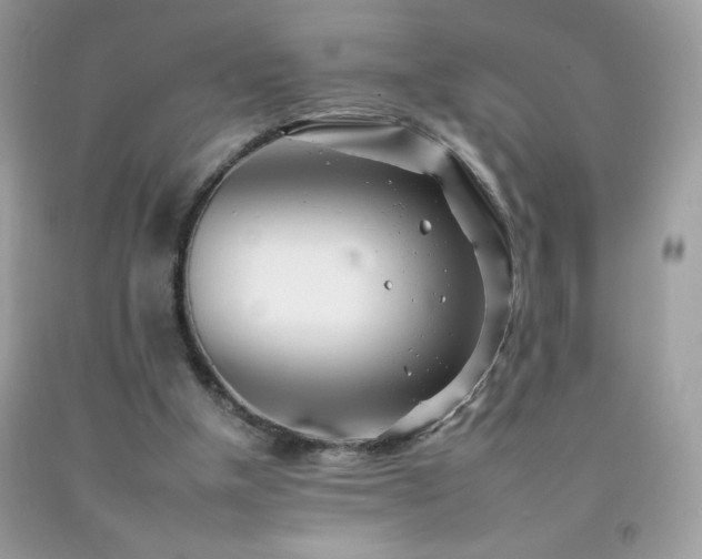 X0000092260154200709141216