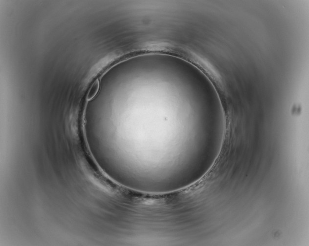 X0000092260155200709141216