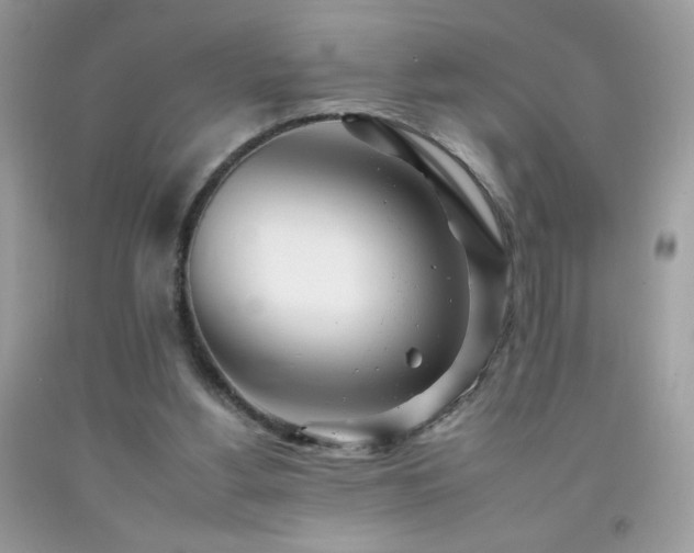 X0000092260156200709141216