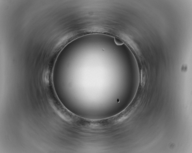 X0000092260157200709141216