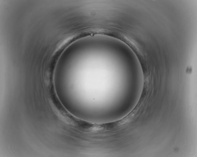 X0000092260158200709141216