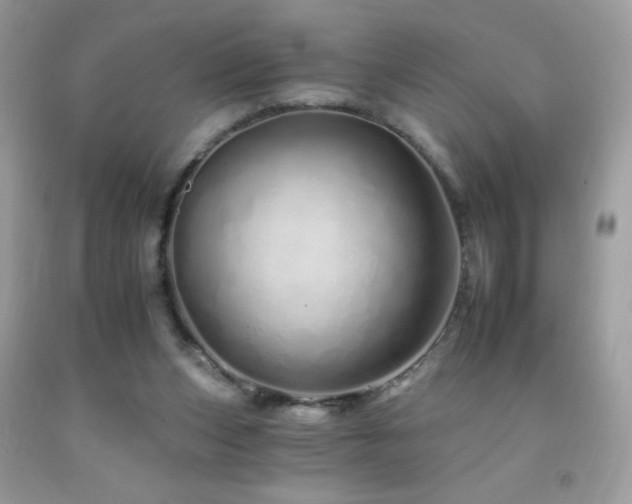 X0000092260159200709141216