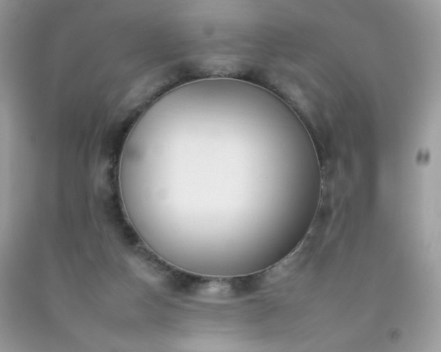 X0000092260162200709141216