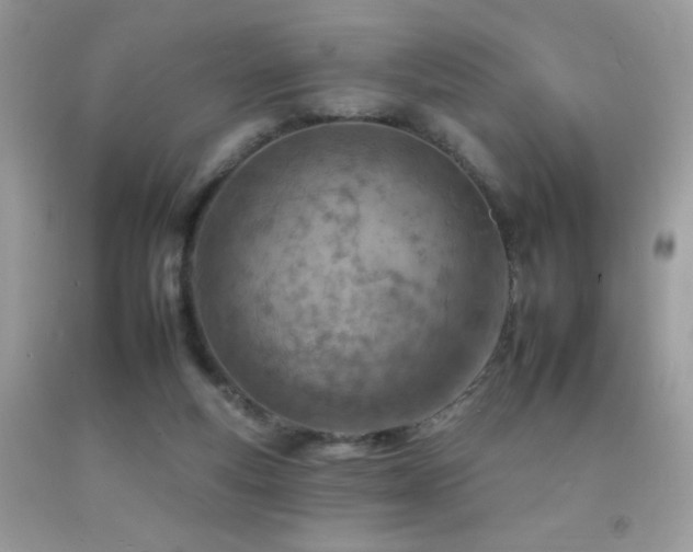 X0000092260163200709141216