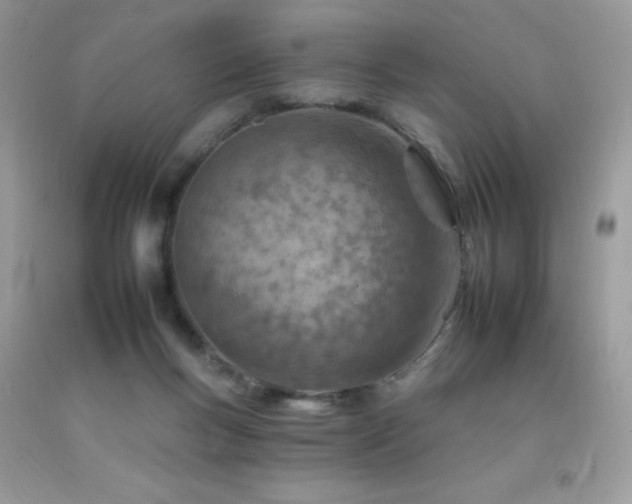X0000092260167200709141216