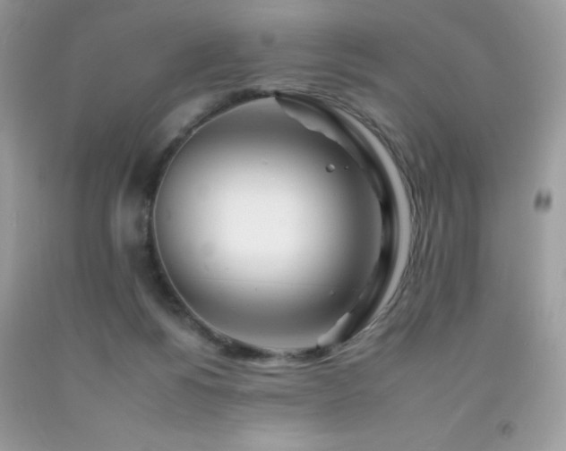 X0000092260168200709141216