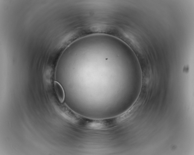 X0000092260171200709141216