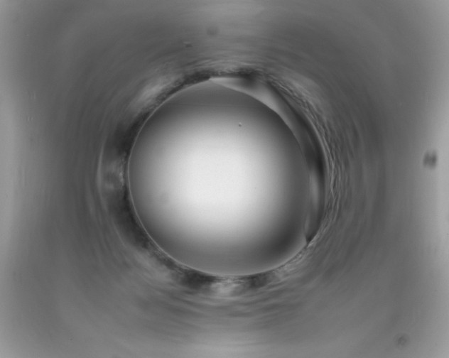 X0000092260172200709141216