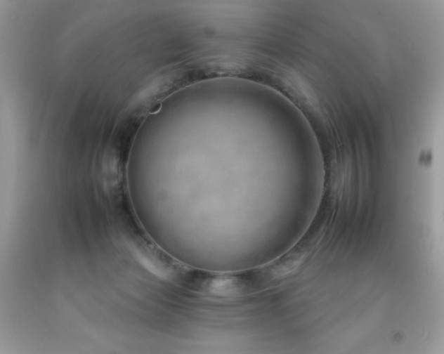 X0000092260173200709141216