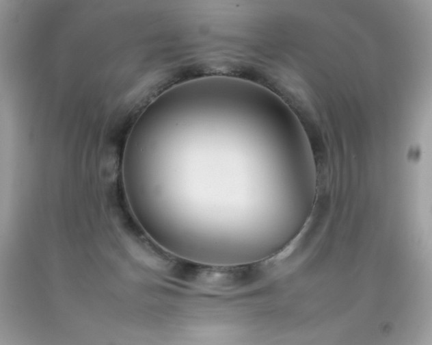 X0000092260174200709141216