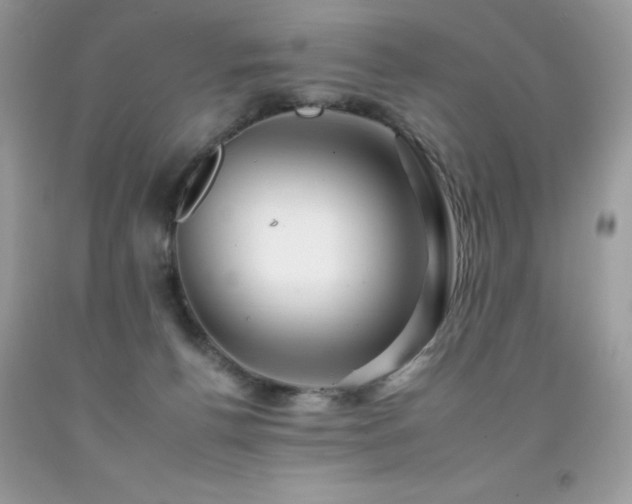 X0000092260176200709141216