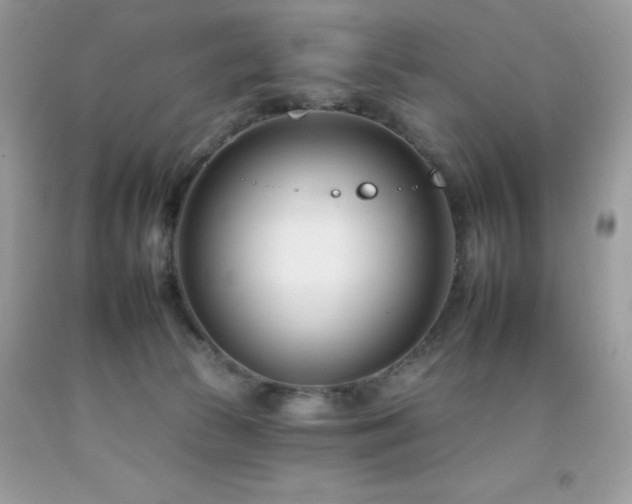 X0000092260177200709141216