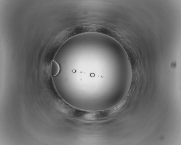 X0000092260178200709141216