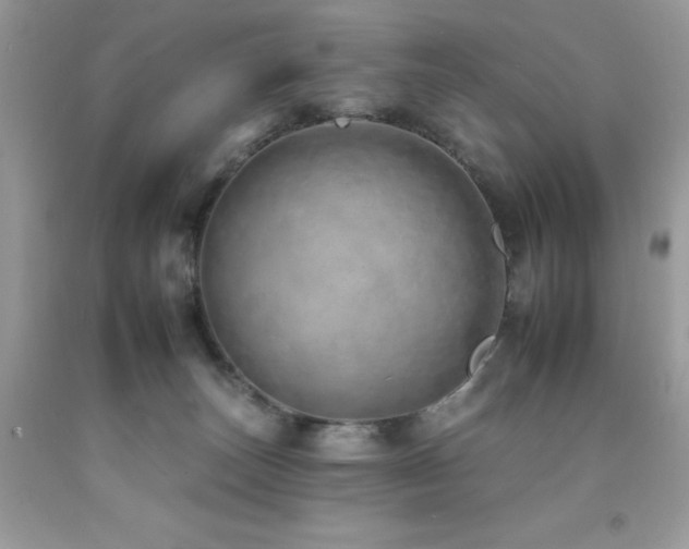 X0000092260179200709141216